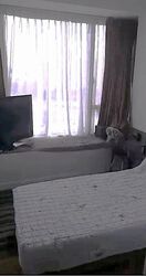The Centris (D22), Apartment #436738891